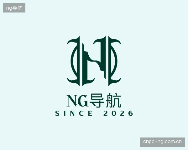 解读ng导航团队